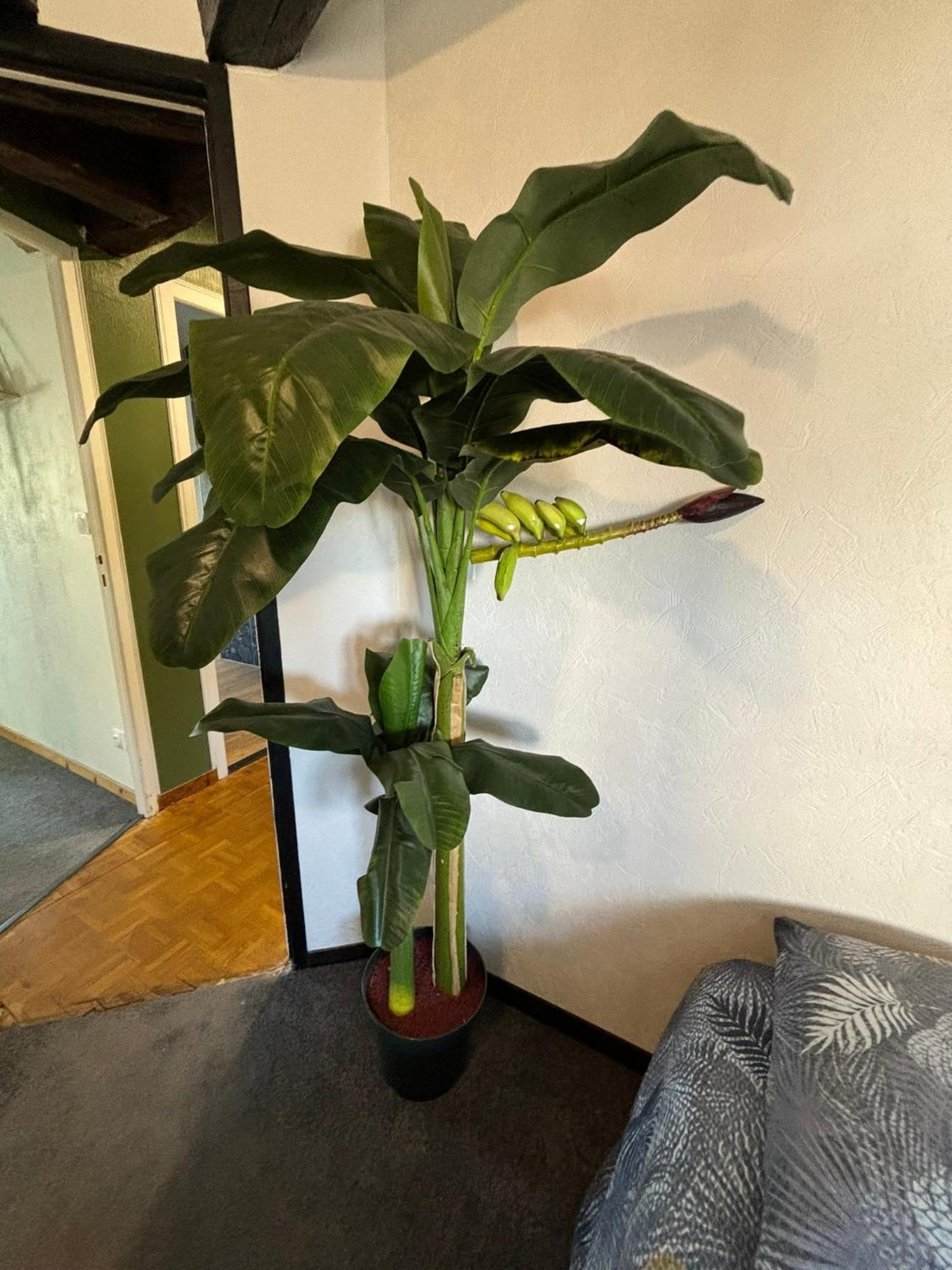 דירות לובייה Jungle Cosy מראה חיצוני תמונה