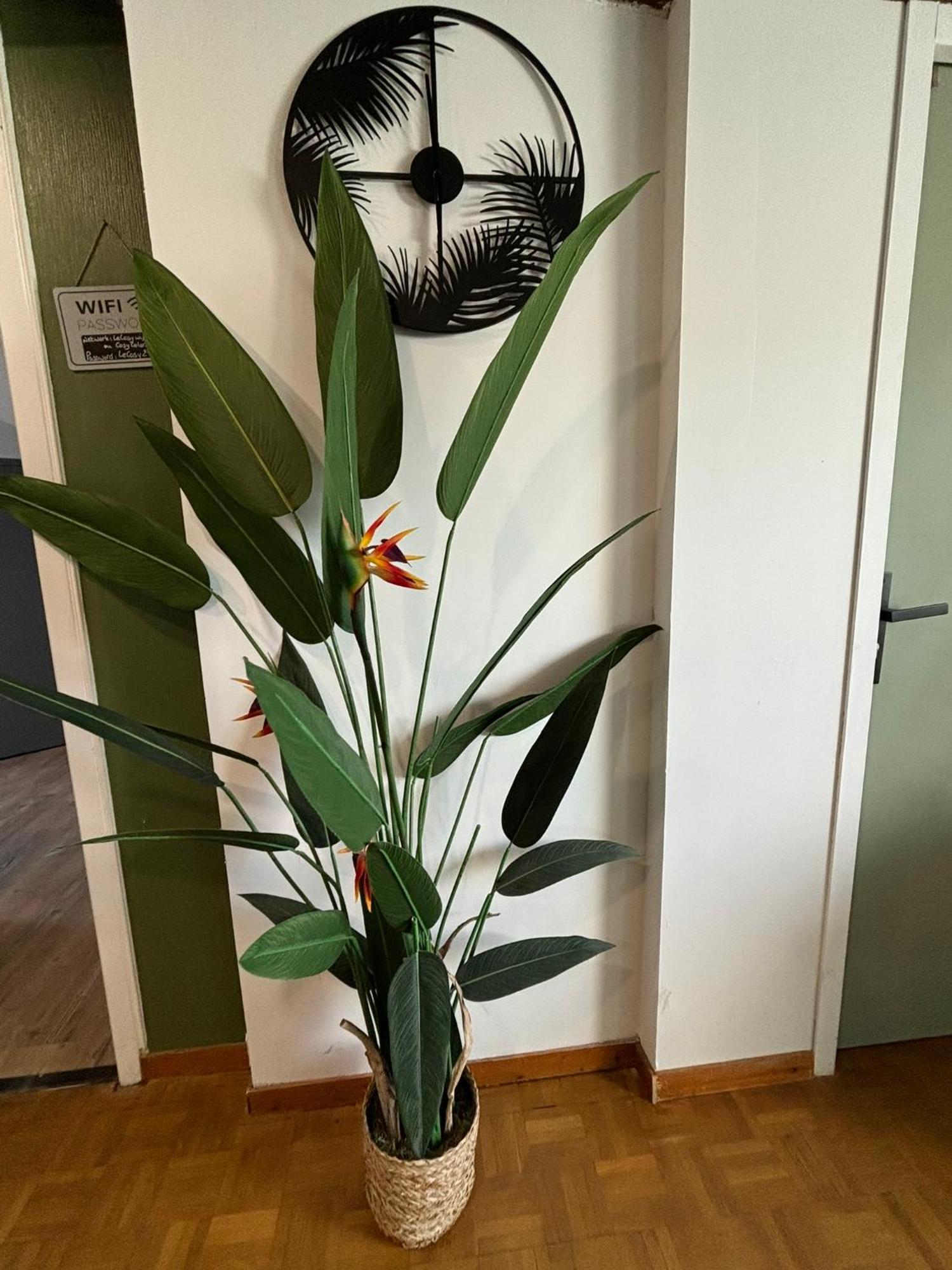 דירות לובייה Jungle Cosy מראה חיצוני תמונה